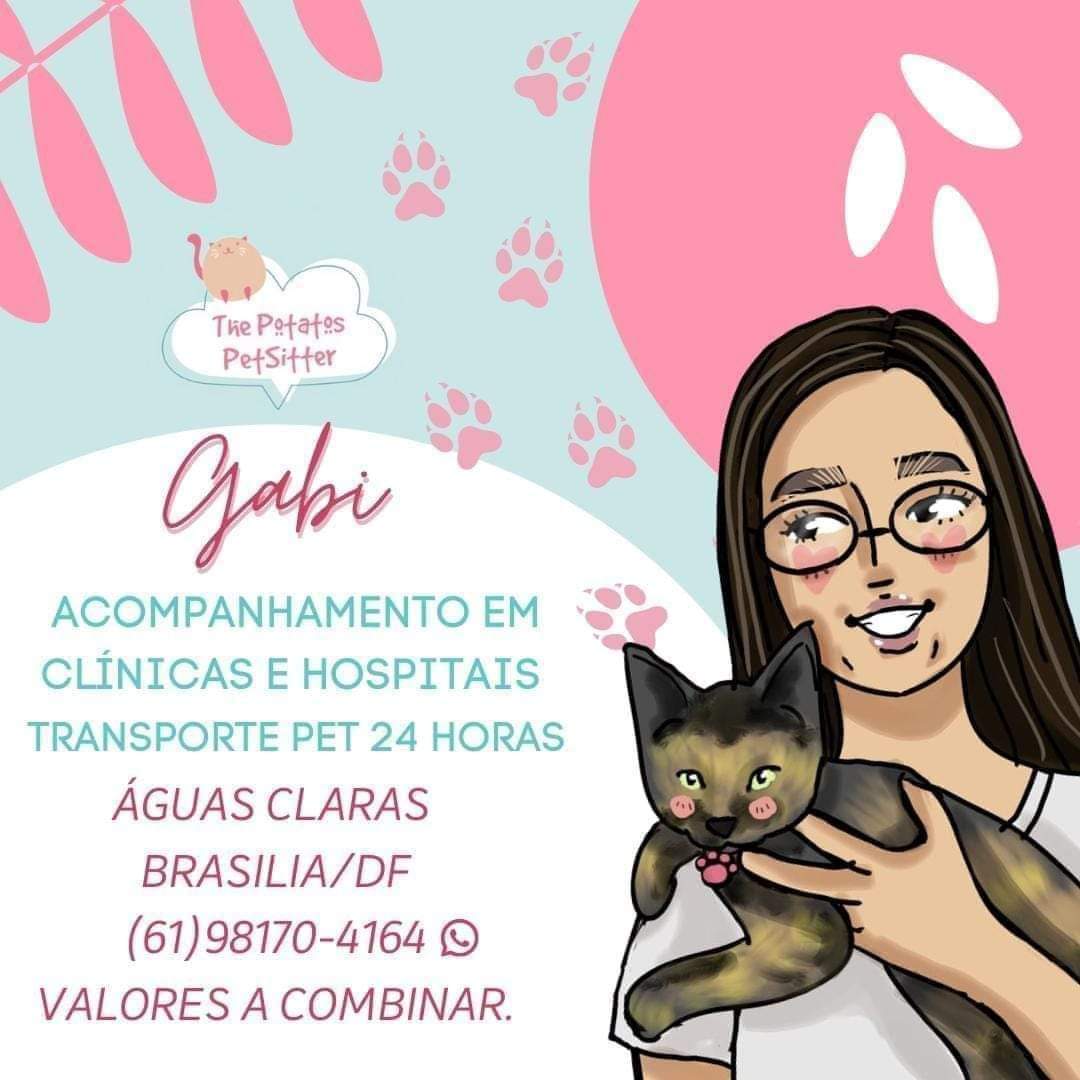 Petsitting, hospedagem, táxi pet